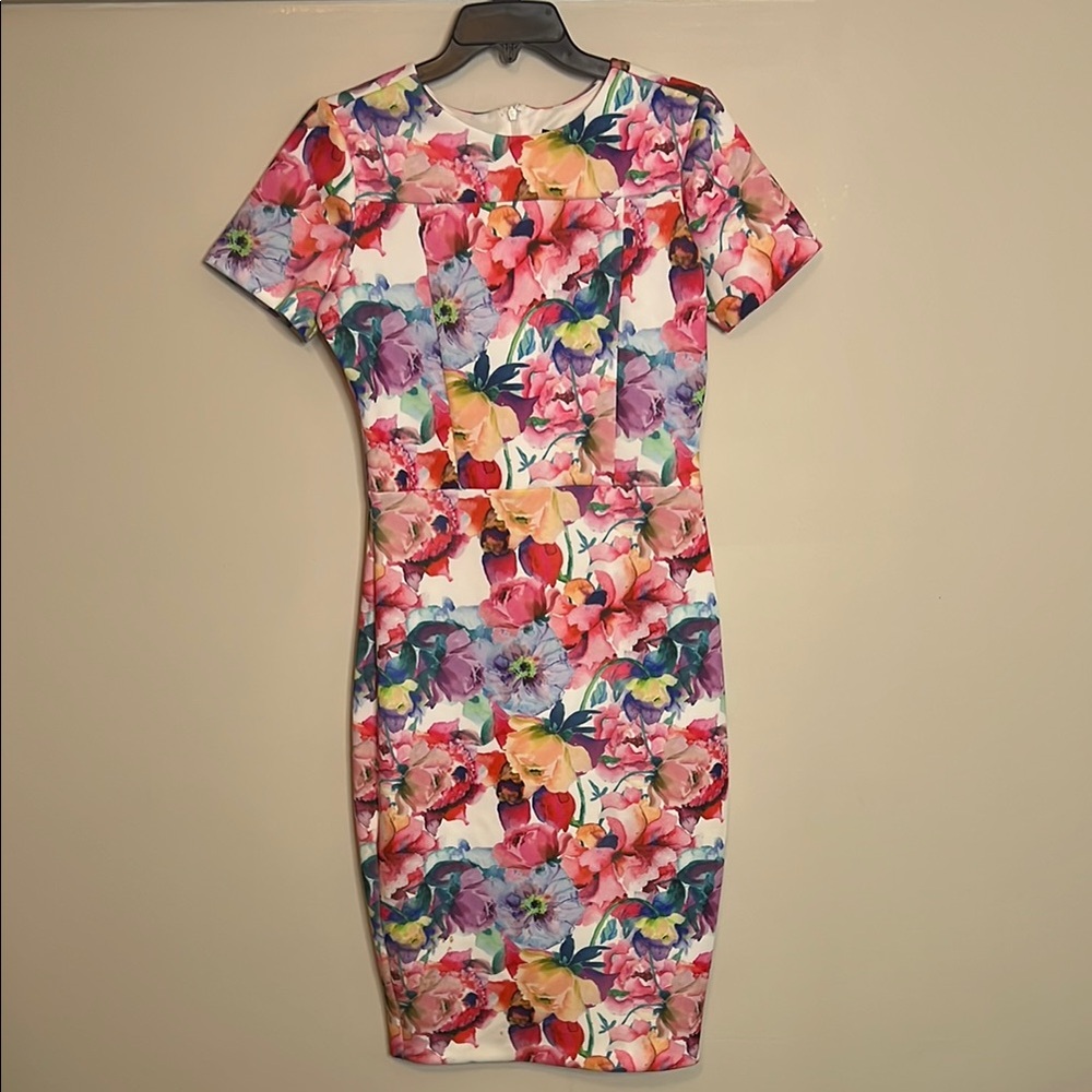Alexia Admor Pink and Orange Bodycon Midi Dress
